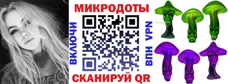 mega tor  Губкинский  Галлюциногенные грибы Psilocybe 