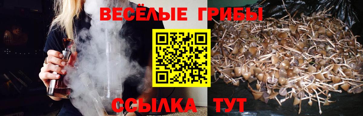 Губкинский  Псилоцибиновые грибы Psilocybine cubensis  Вход с VPN 